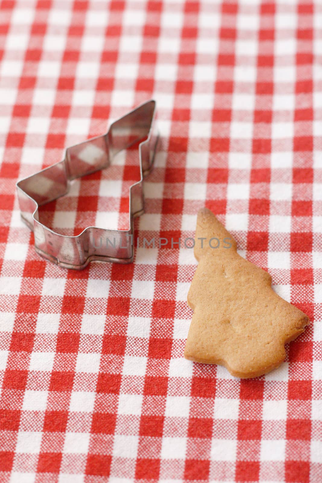 Gingerbread cookies on a table top