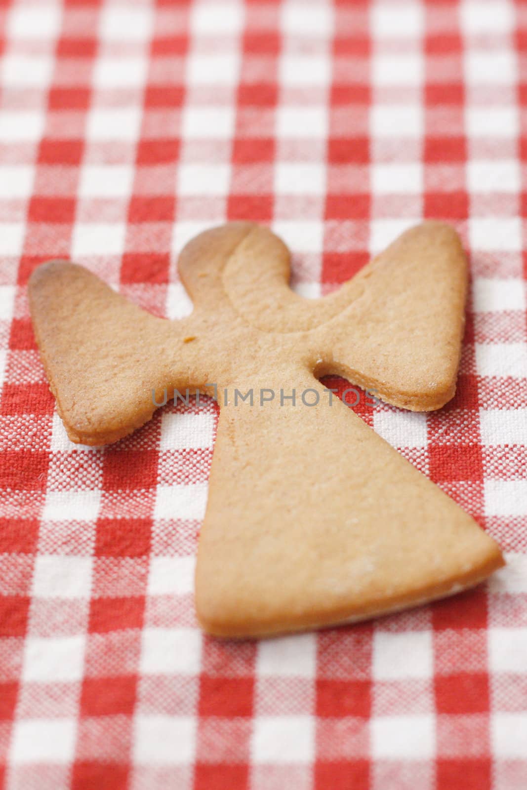 Gingerbread cookie on a table top