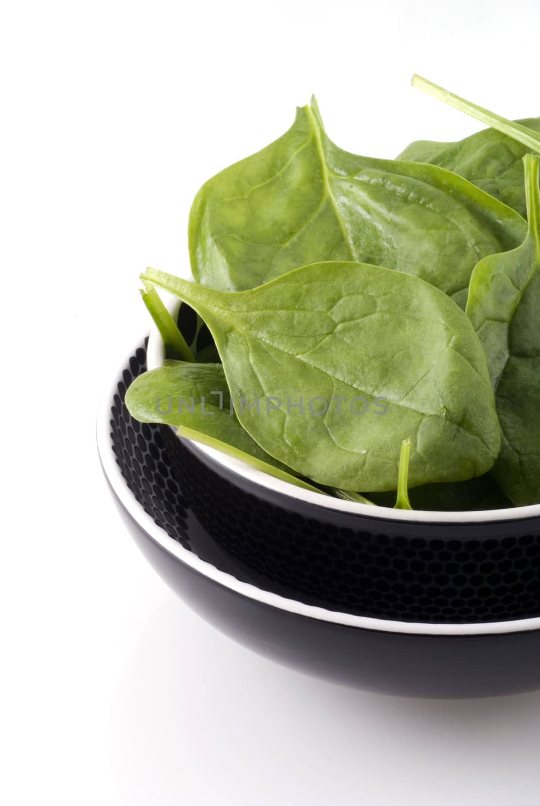 Bowl with fresh raw spinach on a white background.