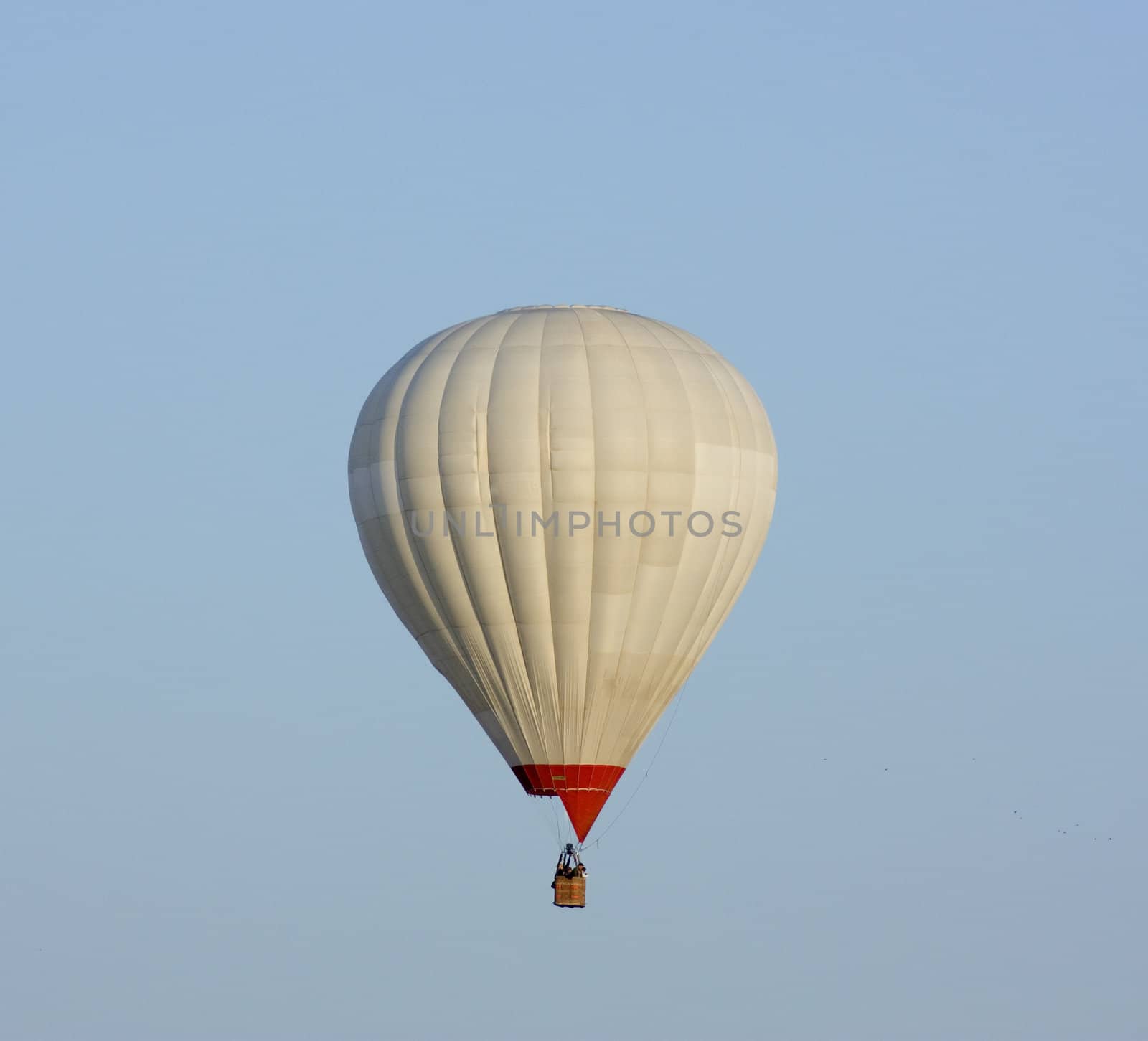 balloon against a backdrop of blue sky