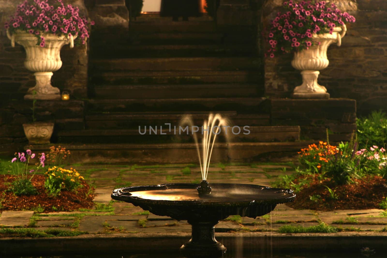 water fountian at night in garden