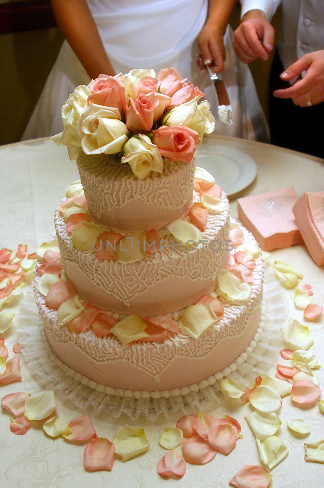 Cake Cutting by fullvision