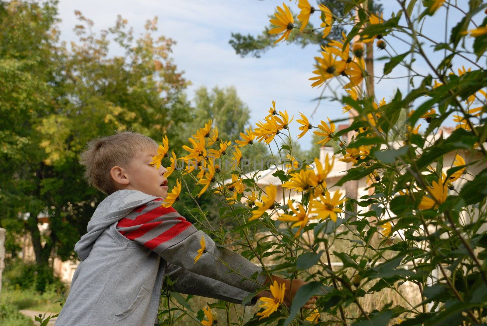 boy smelling flowers