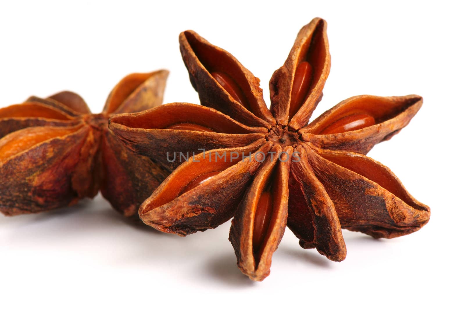 Close up of anise star in isolated white background