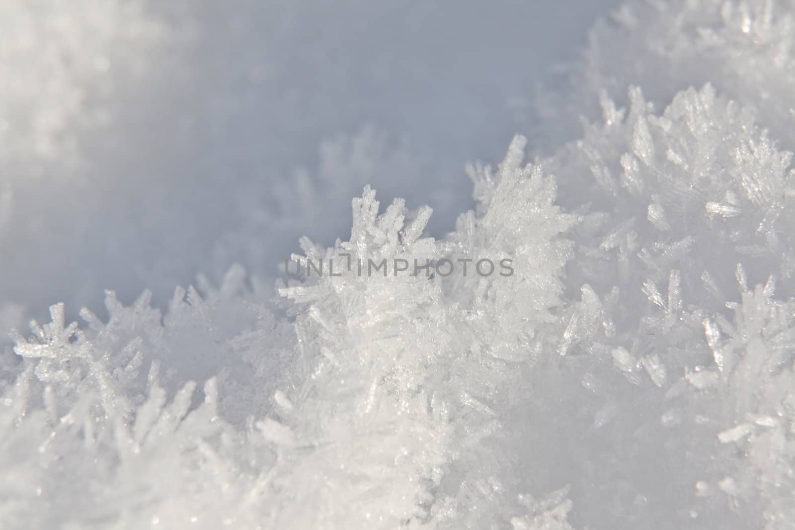 This image shows a extreme macro from a snow surface