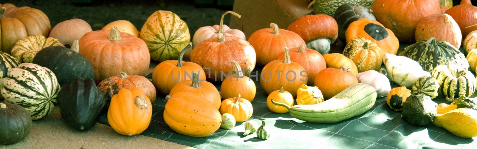 pumpkin table by verbano