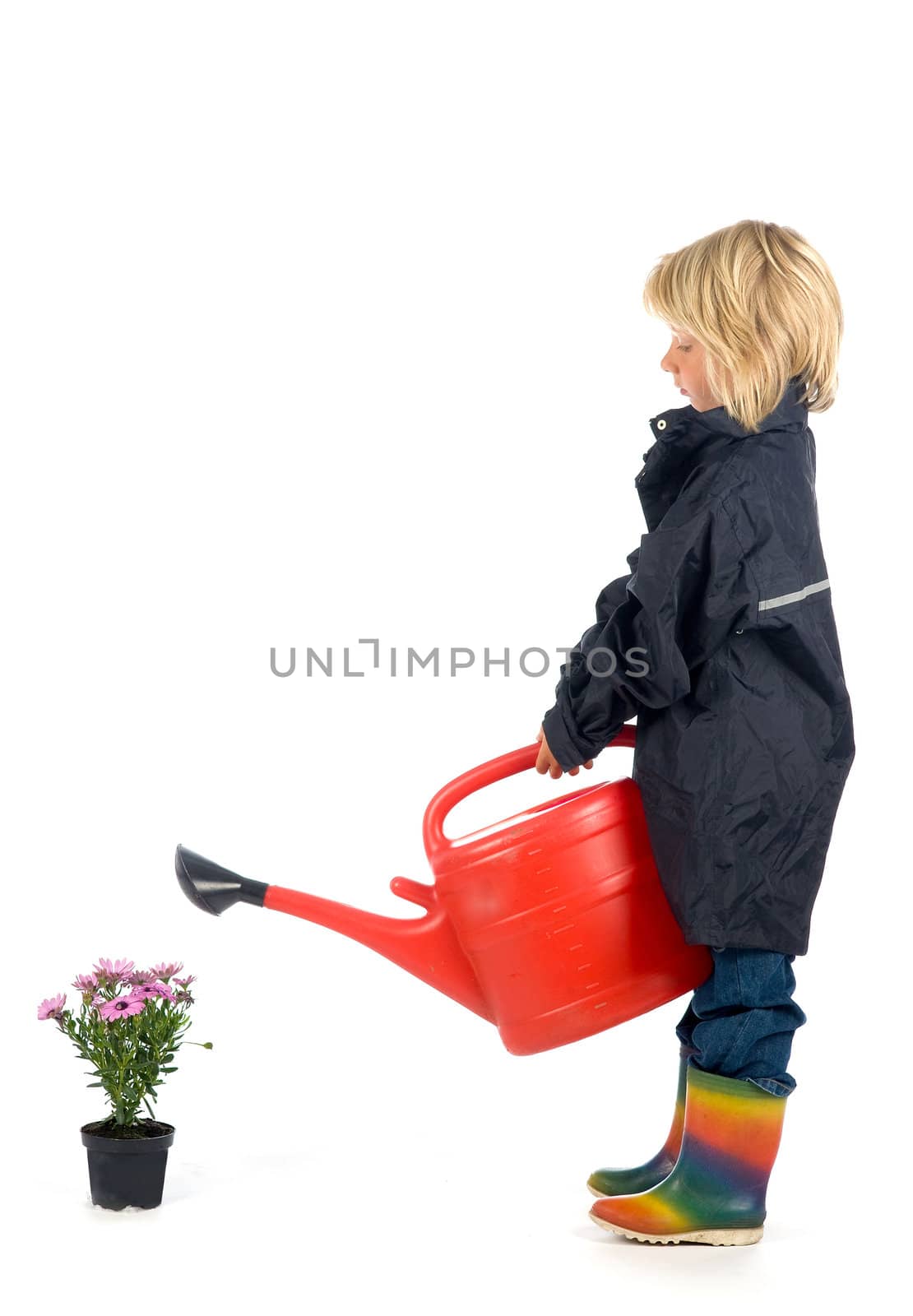 a boy is giving the plants some water