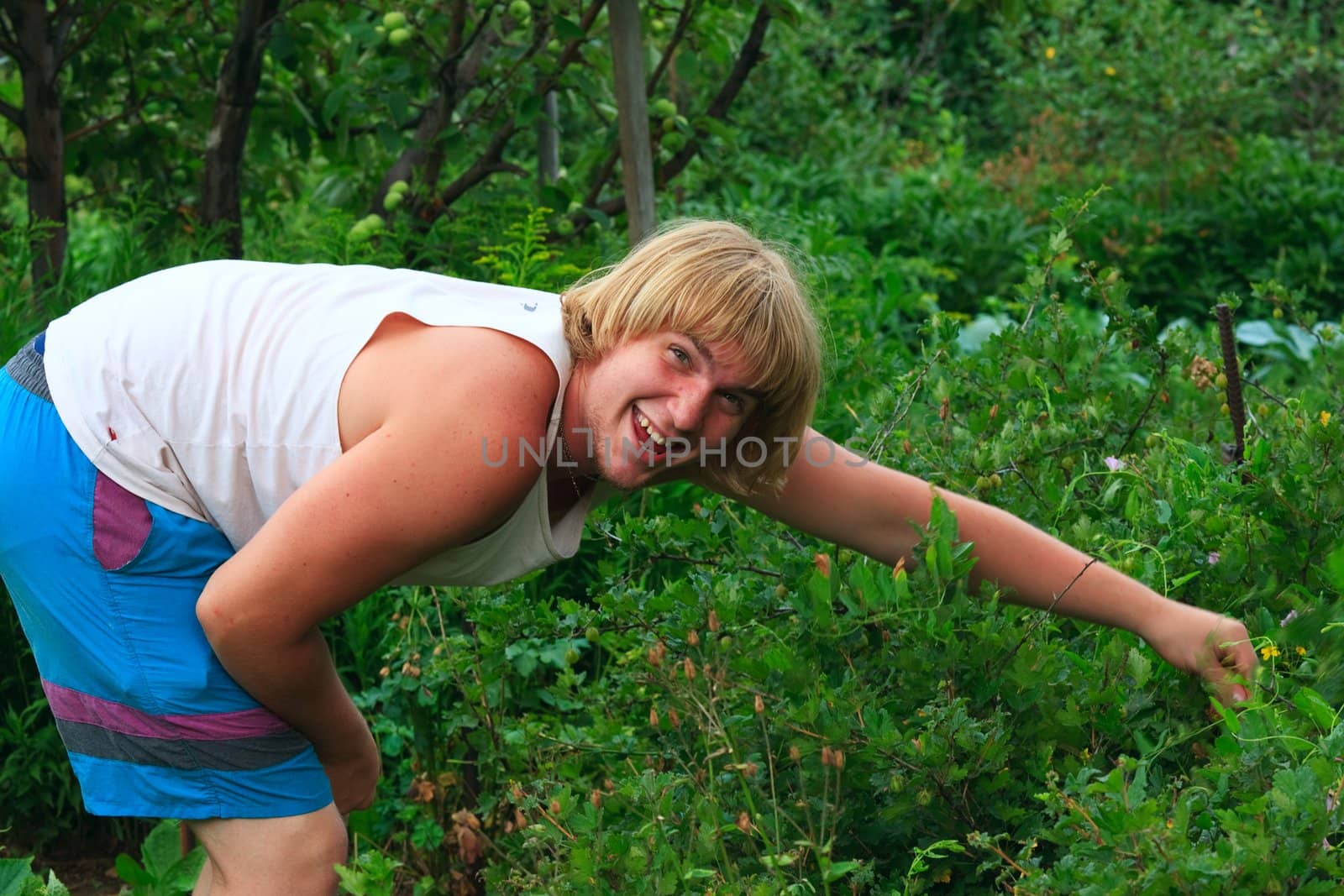 Yuong man seeking ripe berry
