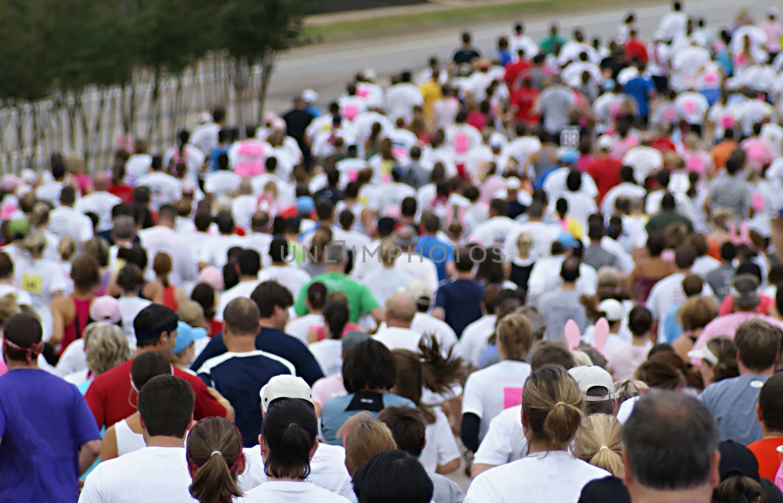 Crowd running a race on the city streets.                  