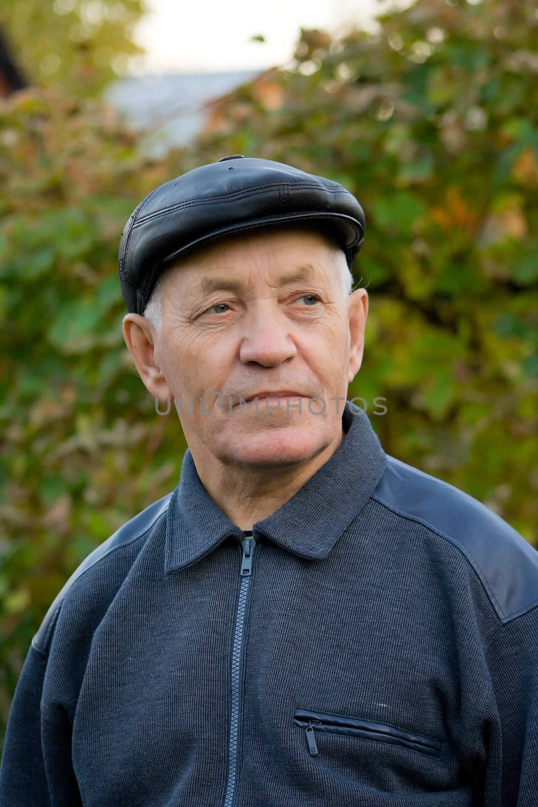 Portrait of the elderly man in a cap against the nature