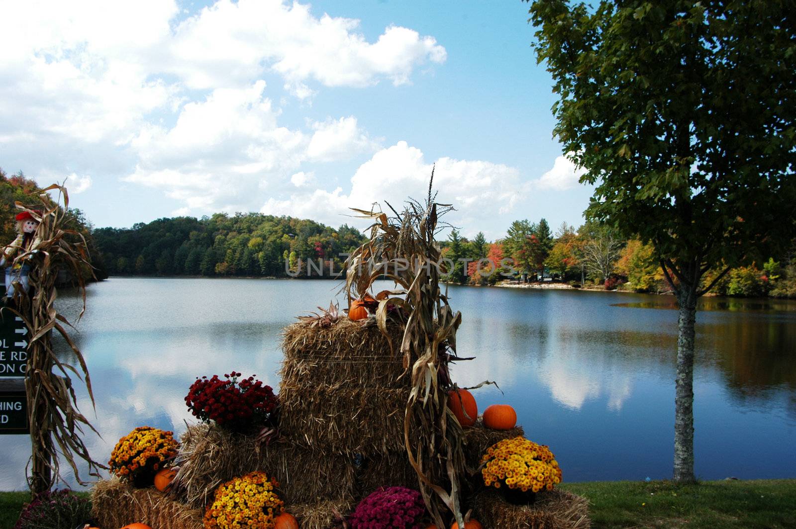 A fall scene along a lake in rural North Carolina