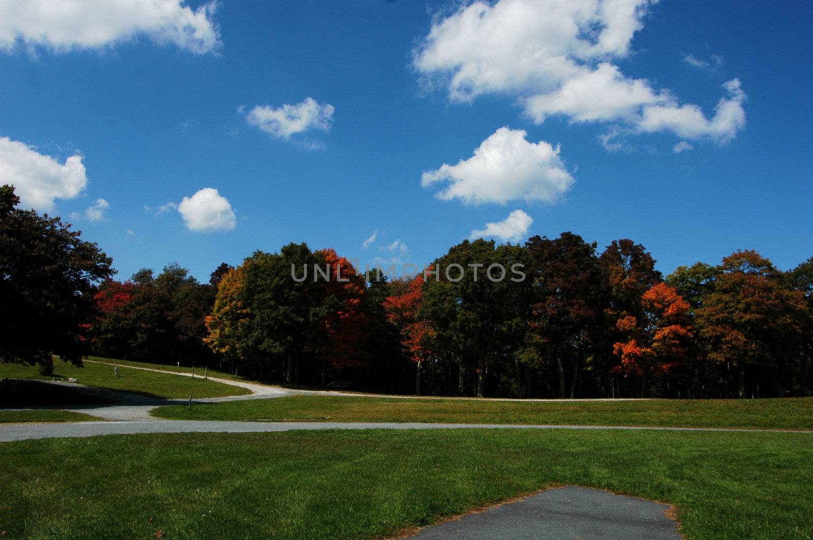 A fall day in the early fall of the year. Taken in a rural park in North Carolina