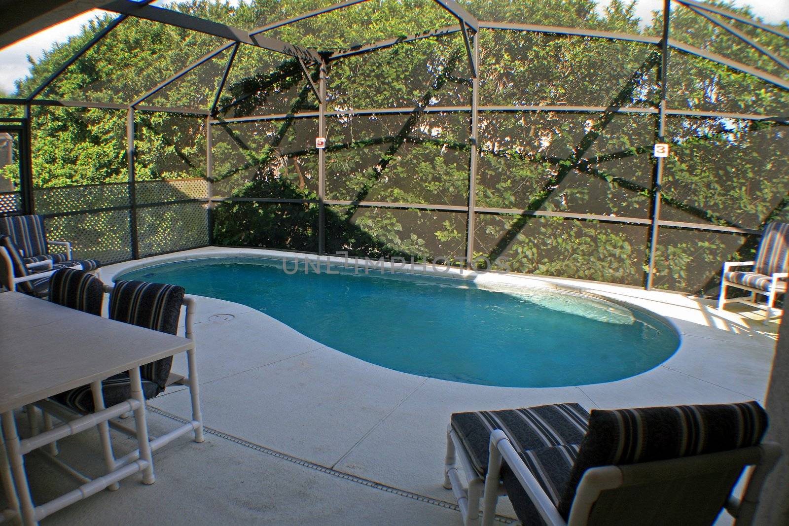 A swimming pool and lanai in Florida.