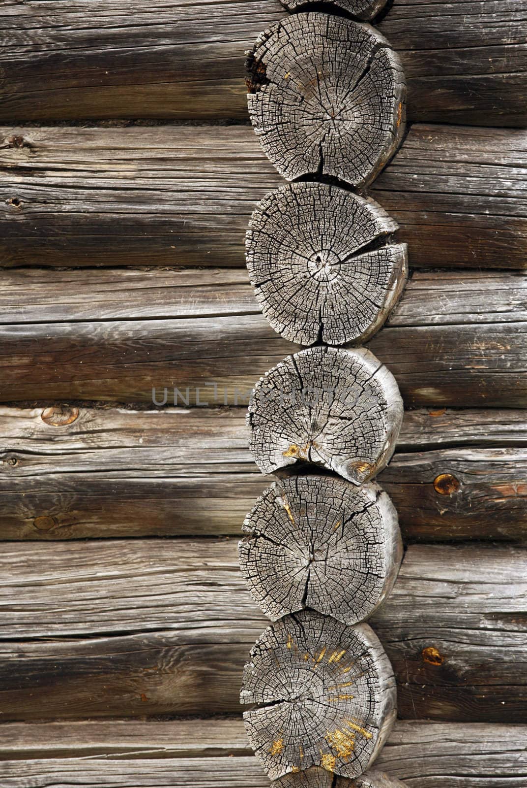 Full screen high resolution shot of wood.