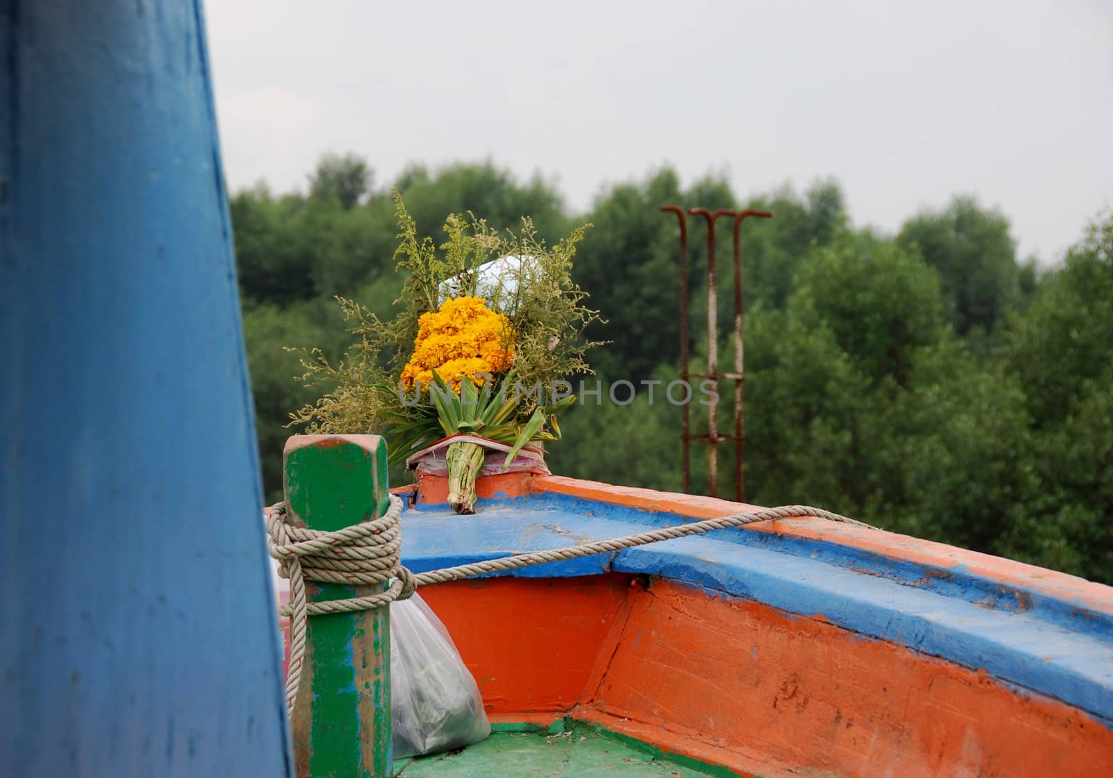 Close-up of a longtail boat