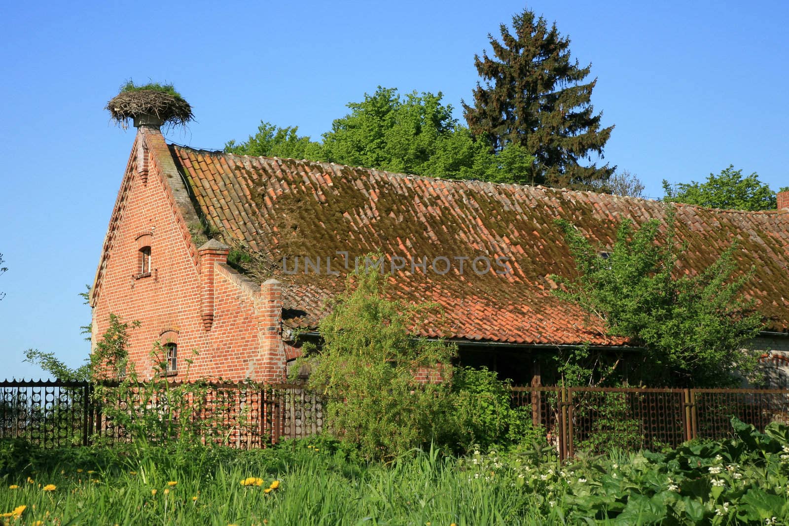 Polish country – old barn and stork’s nest - Poland