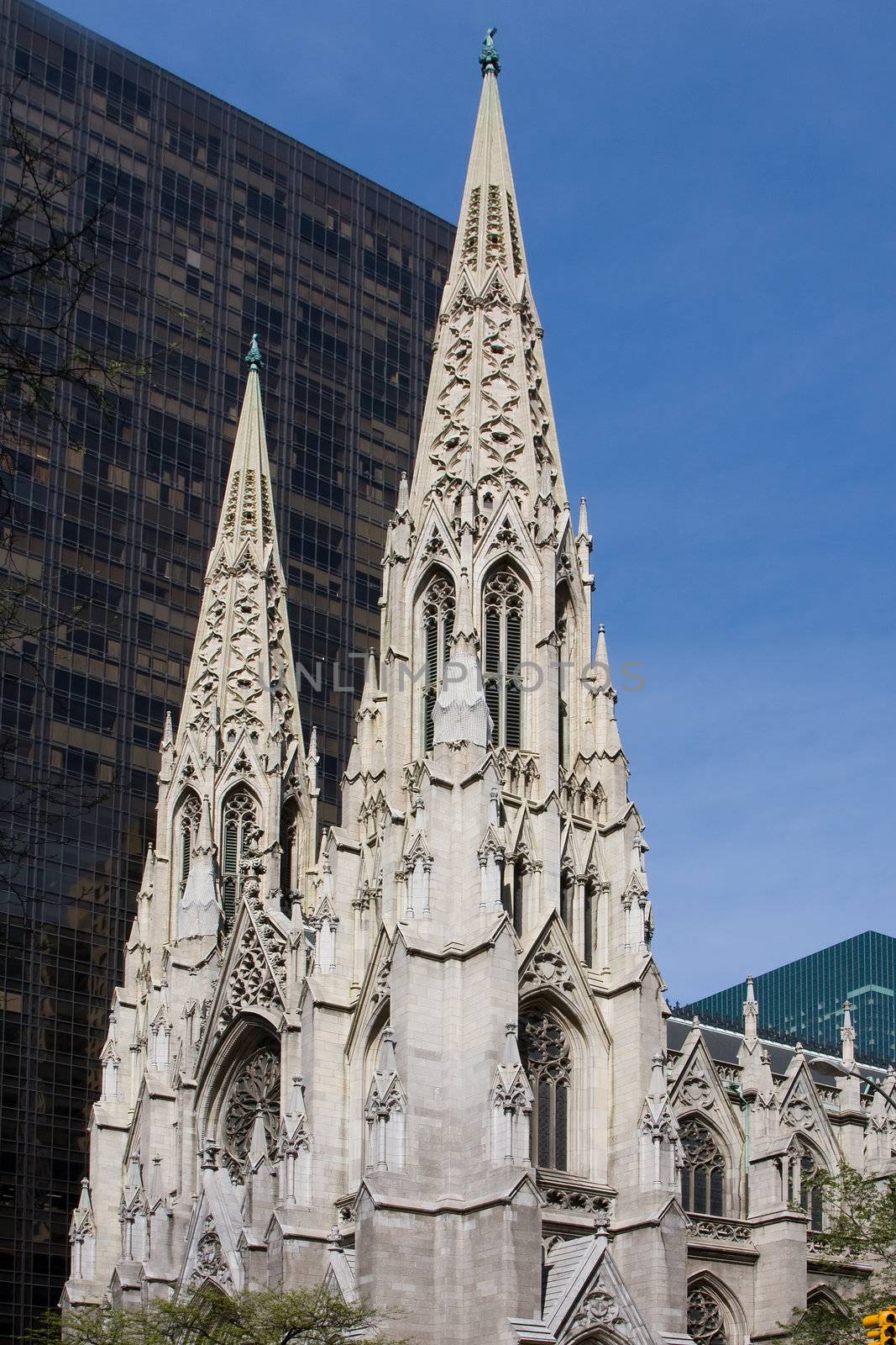 St. Patrick Cathedral by phakimata