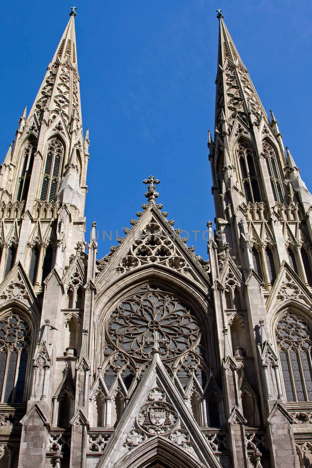 The facade of the Saint Patrick Cathedral in New York City on a deep blue sky