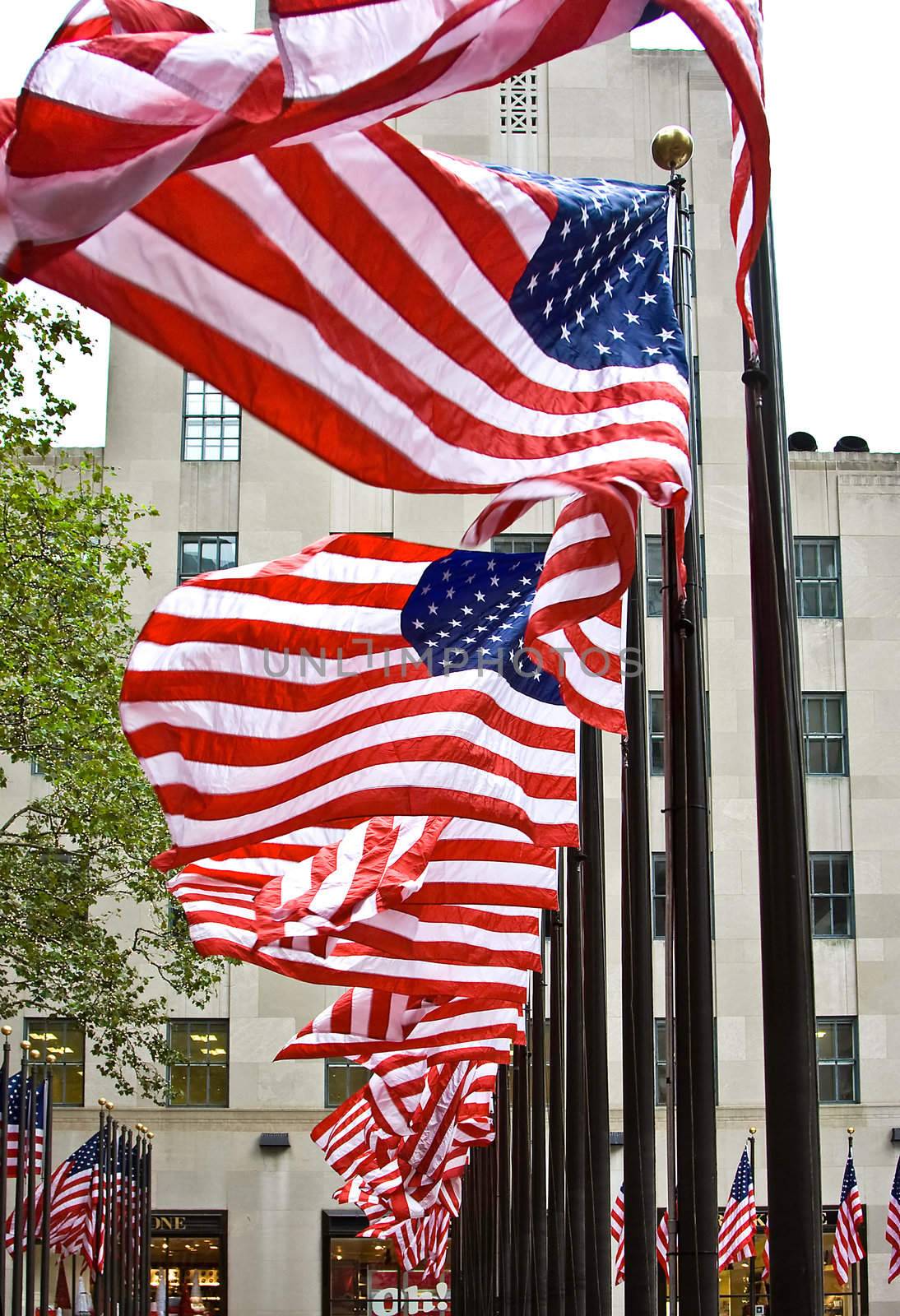Row of American flags by phakimata