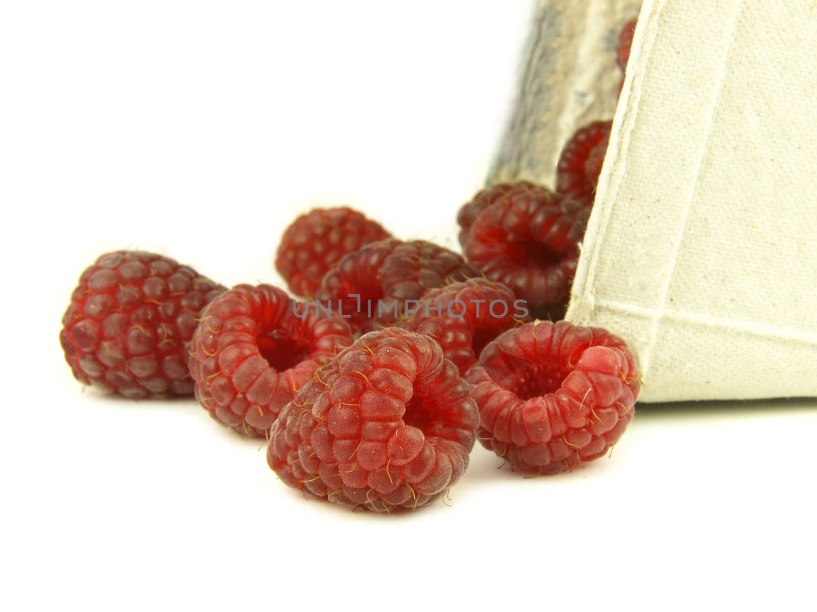 raspberry in zoom by luckyhumek