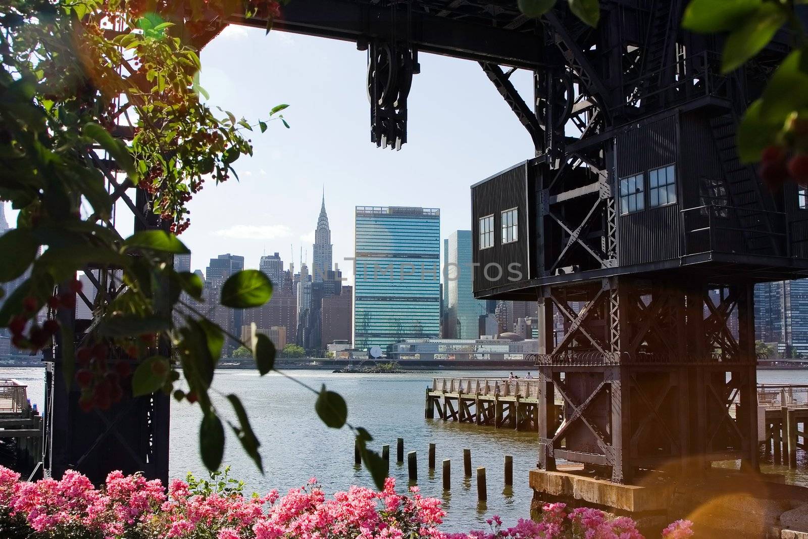 The skyline of midtown Manhattan (New York City) as seen from Long Island City, with the United Nations and Crysler building. A tue vision of New York's floral beauty combined with industry, as the part of the skyline is naturally framed with flowers and a shipyard crane. 