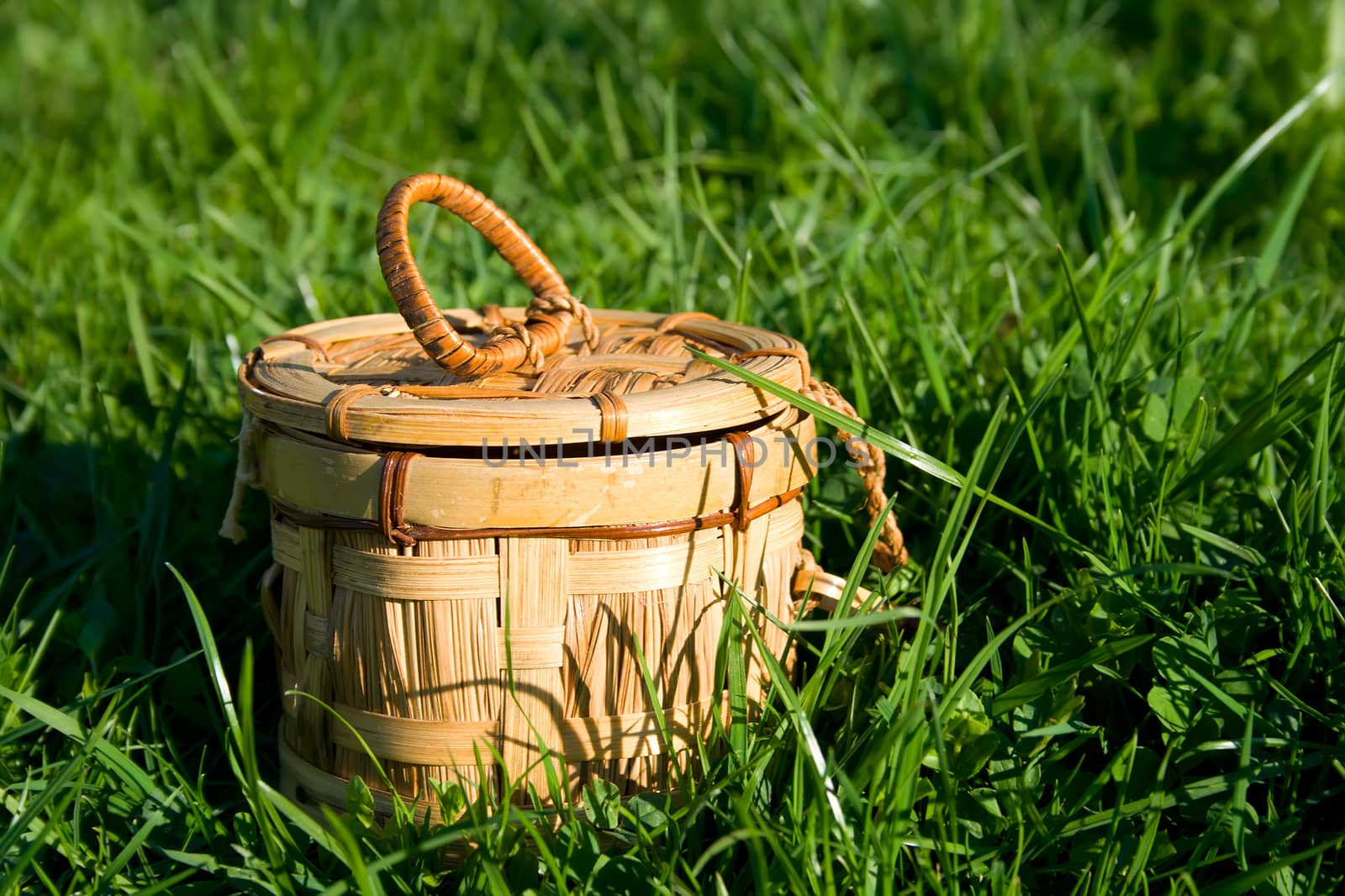 Wicker basket sitting in grass 