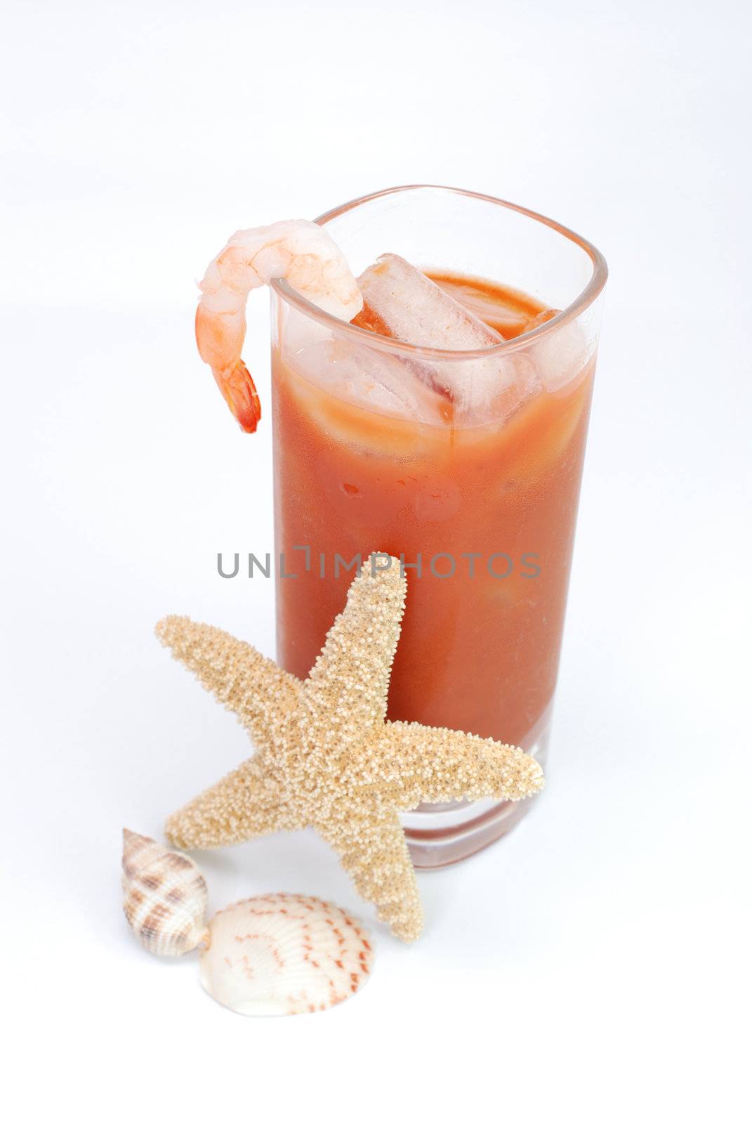 Bloody Mary with shrimp, starfish, and seashells.  Isolated on white.