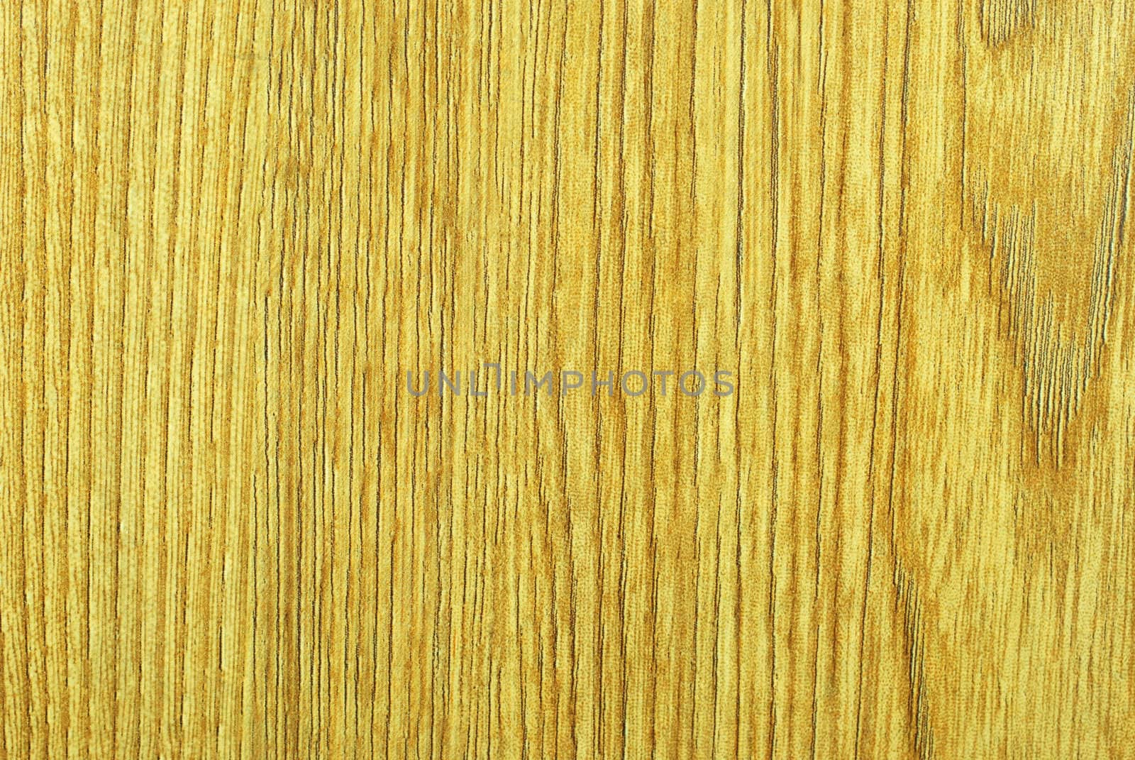 Macro of section of wood. 