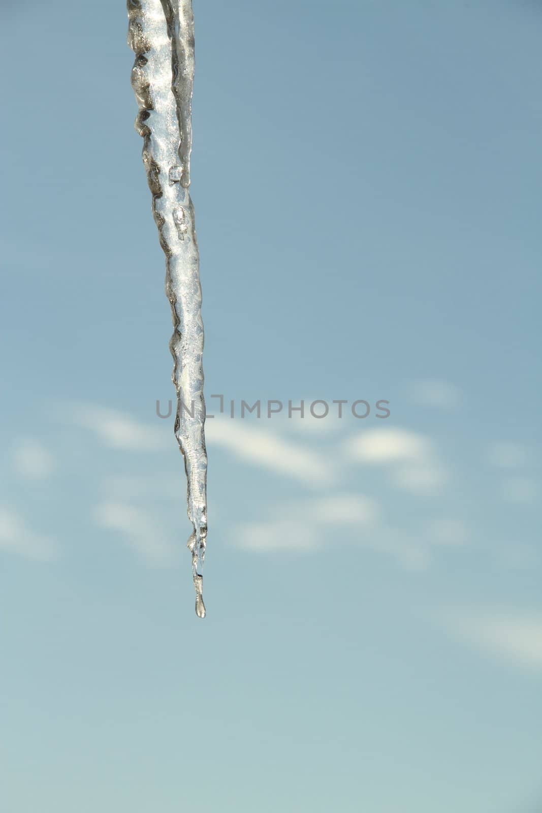 A lone icicle hanging against a blue sky.