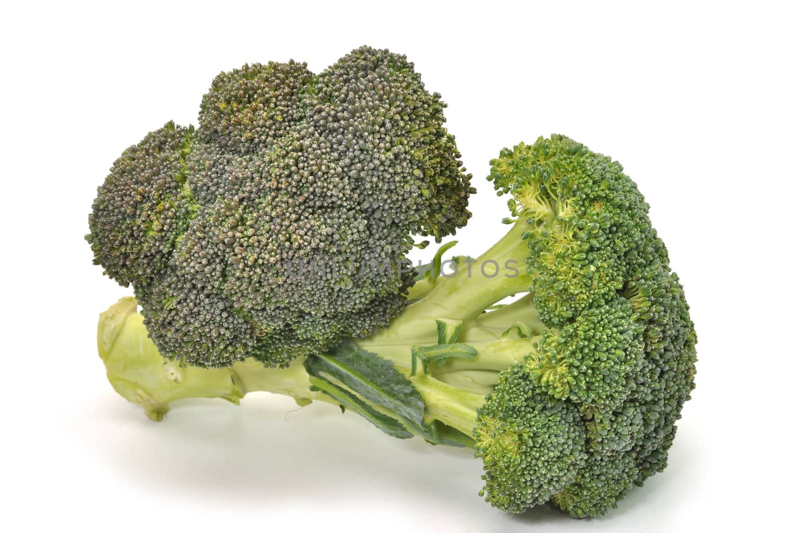 Fresh Broccoli by dehooks