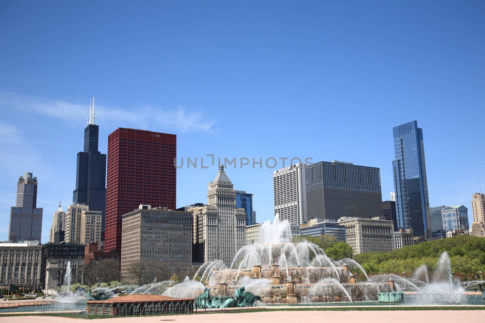 Chicago Skyline and Fountain by Ffooter