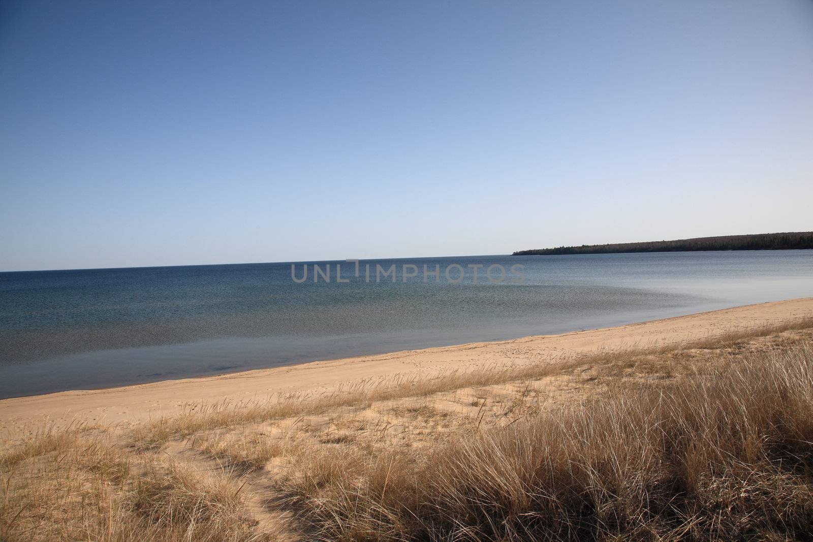 Grassy shoreline and beach of a North American Great Lake