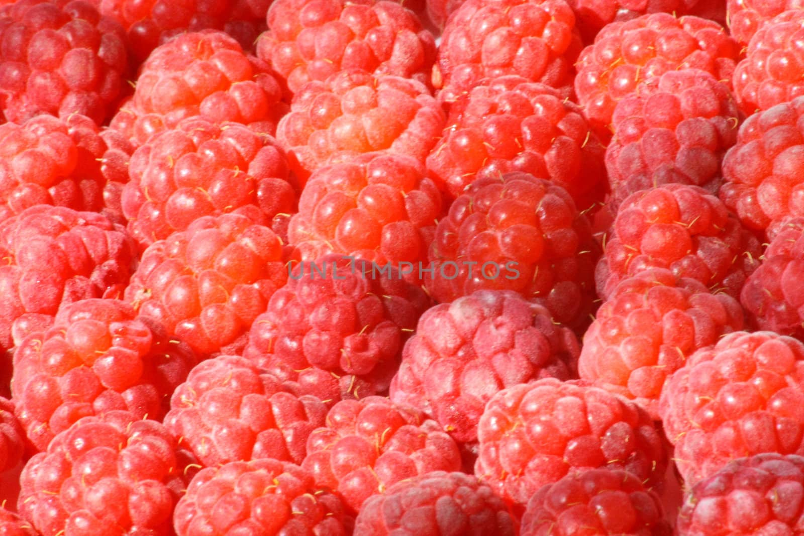 Raspberry background by Lessadar