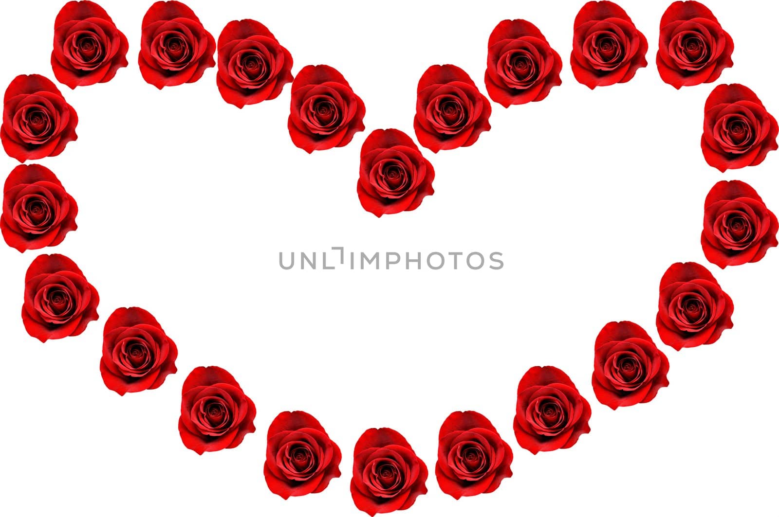 Roses in heart shape isolated on white background.