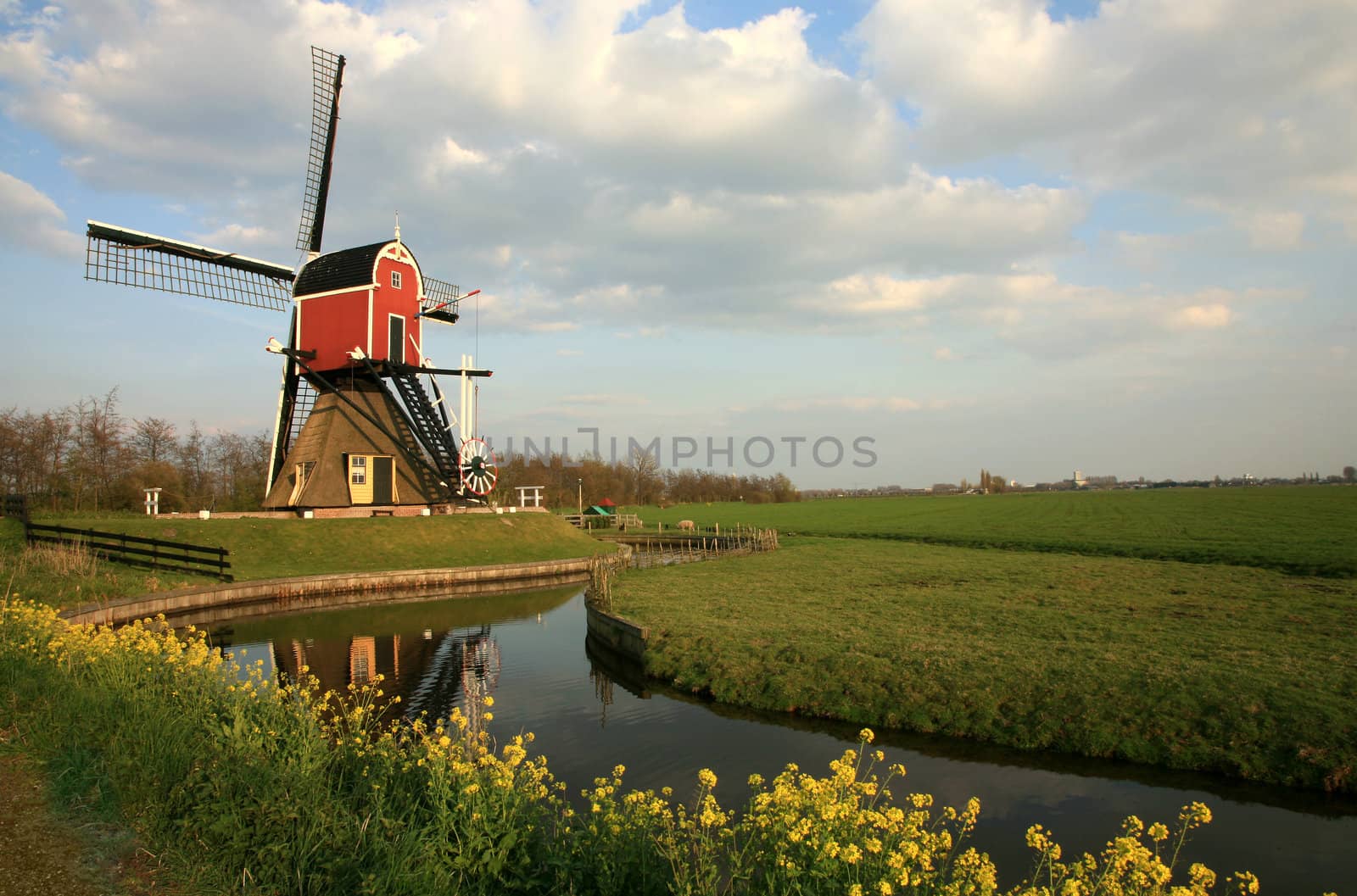 Old pump – traditional Dutch windmill on meadow, Netherlands