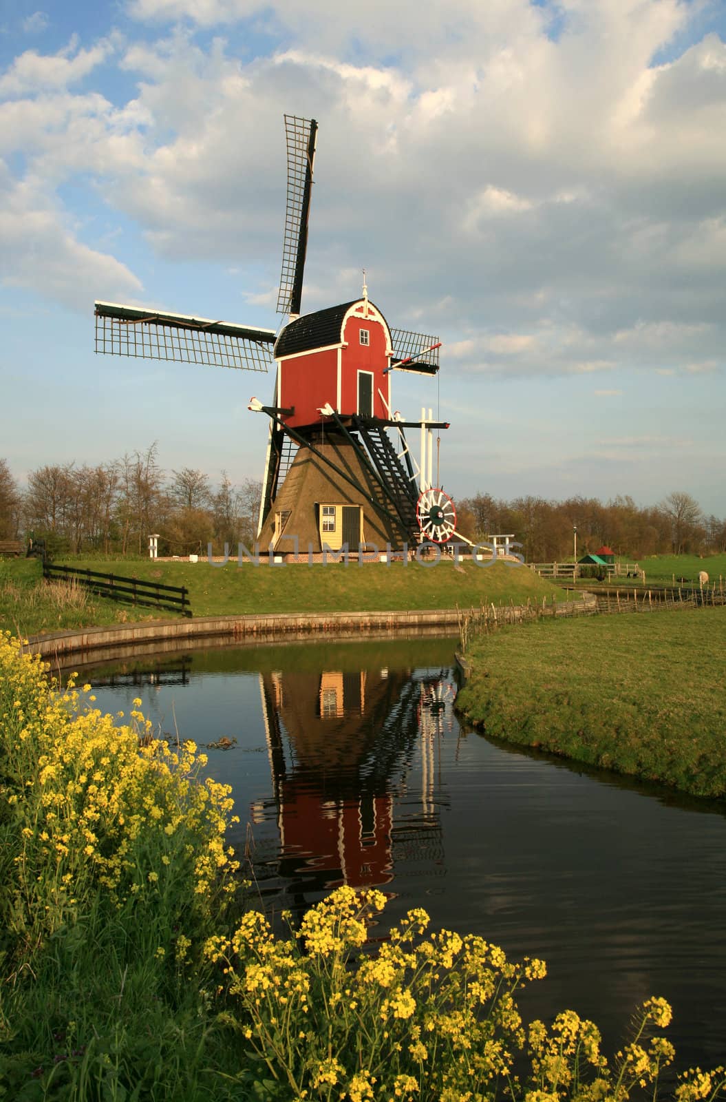 Old pump – traditional Dutch windmill on meadow, Netherlands