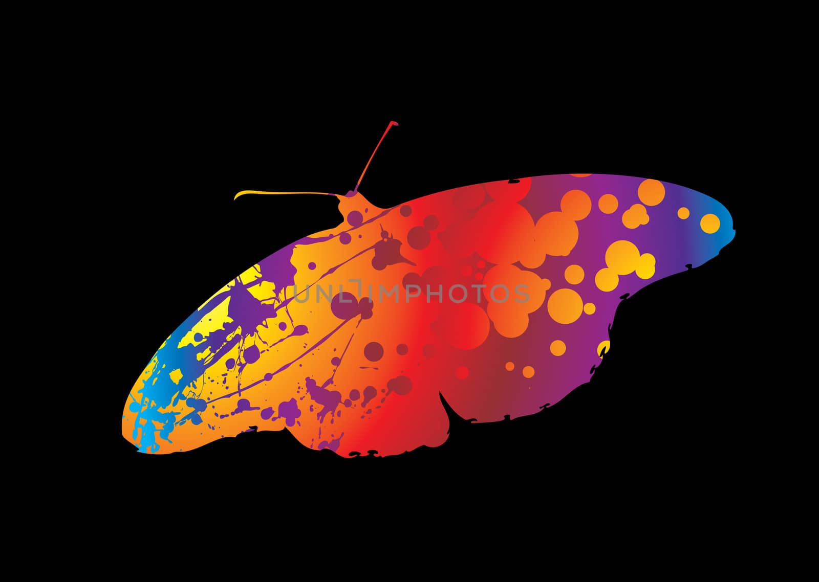 silhouette of a butterfly with ink splats in bright colours