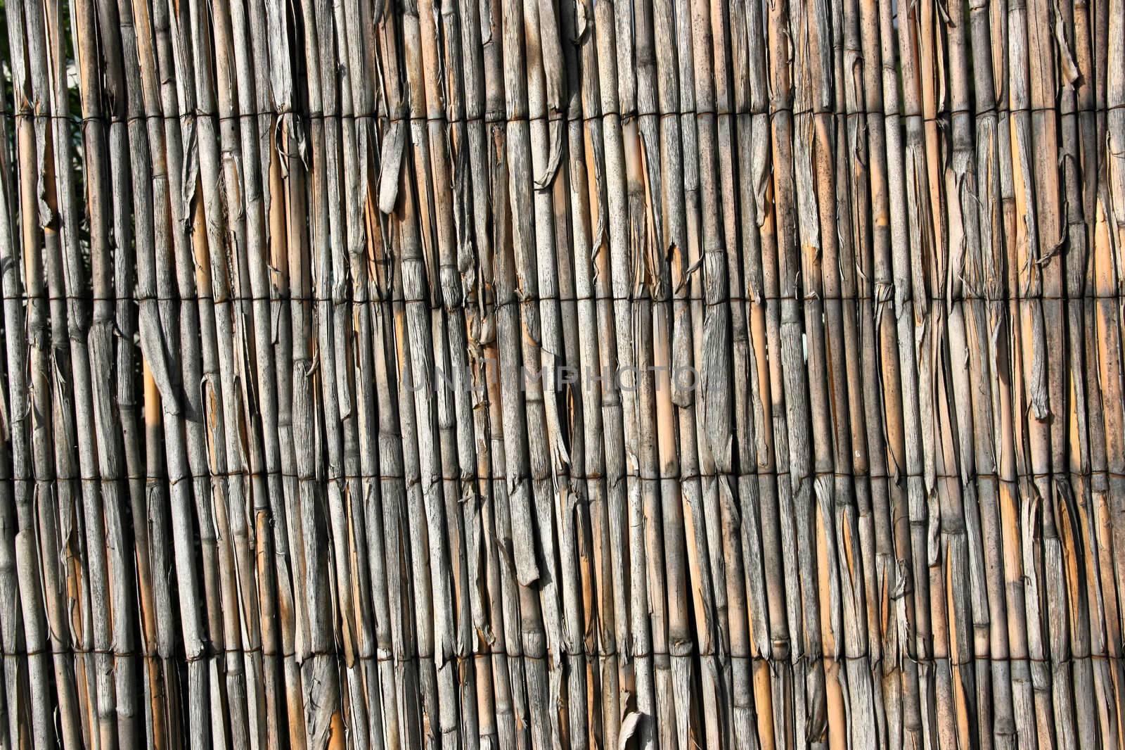 Vintage bamboo fence texture. Wooden background abstract.