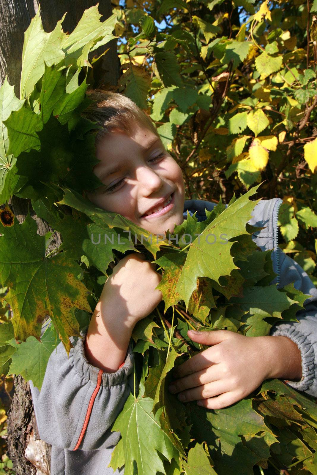 Little, blonde boy with leaves. Autumn park.