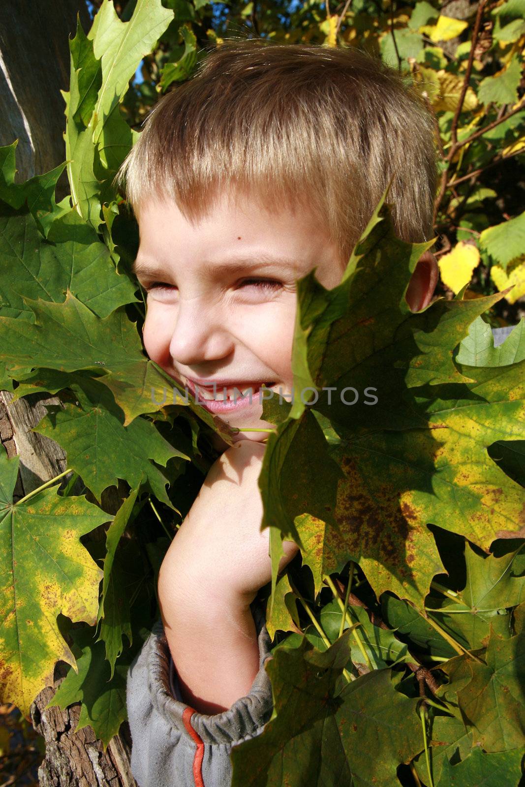 Autumn boy by fotokate