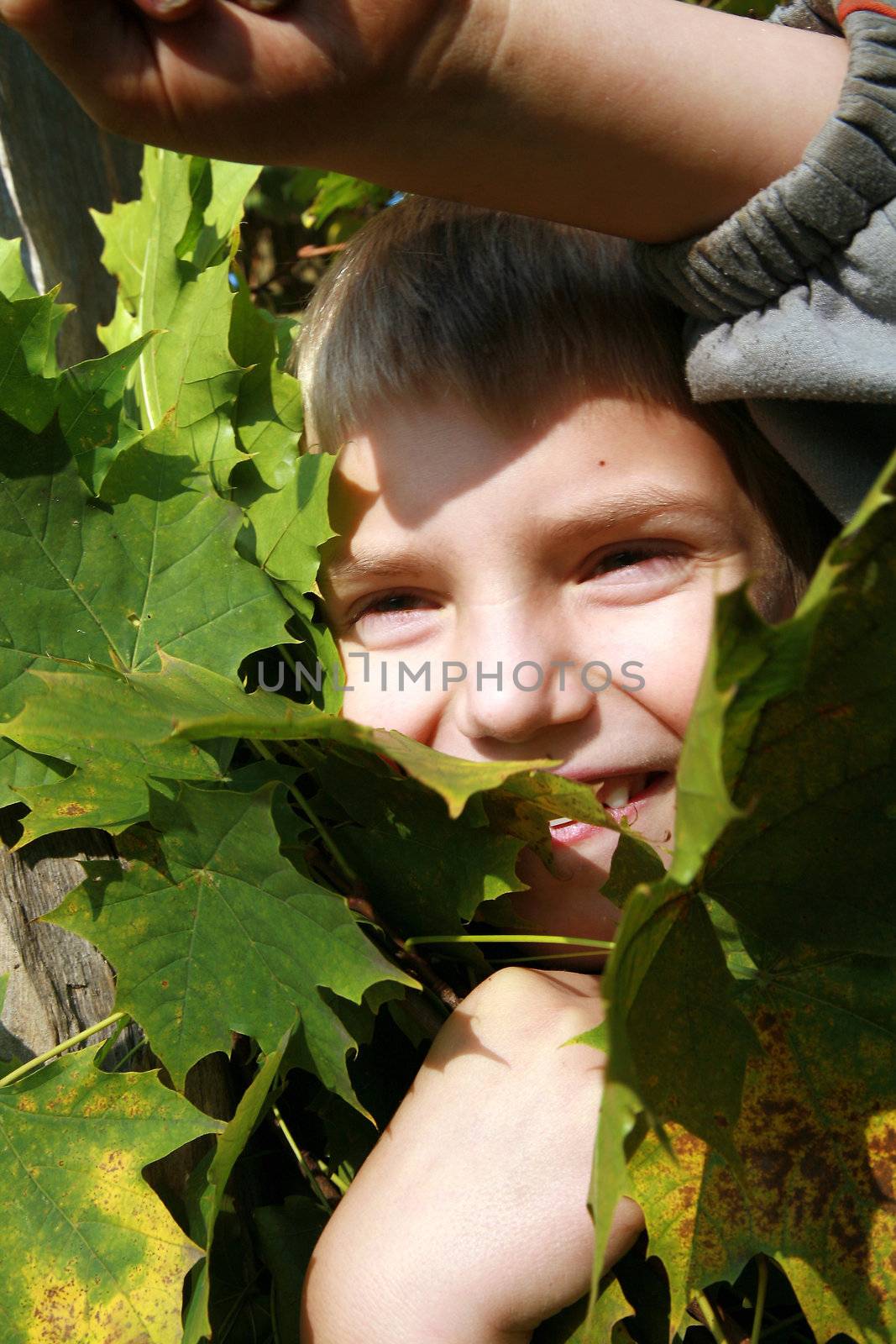 Little, blonde boy with leaves. Autumn park.