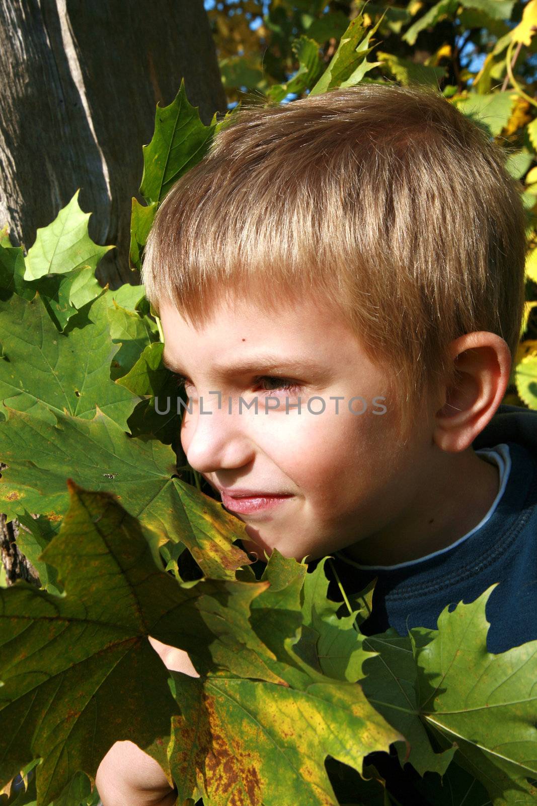 Autumn boy by fotokate