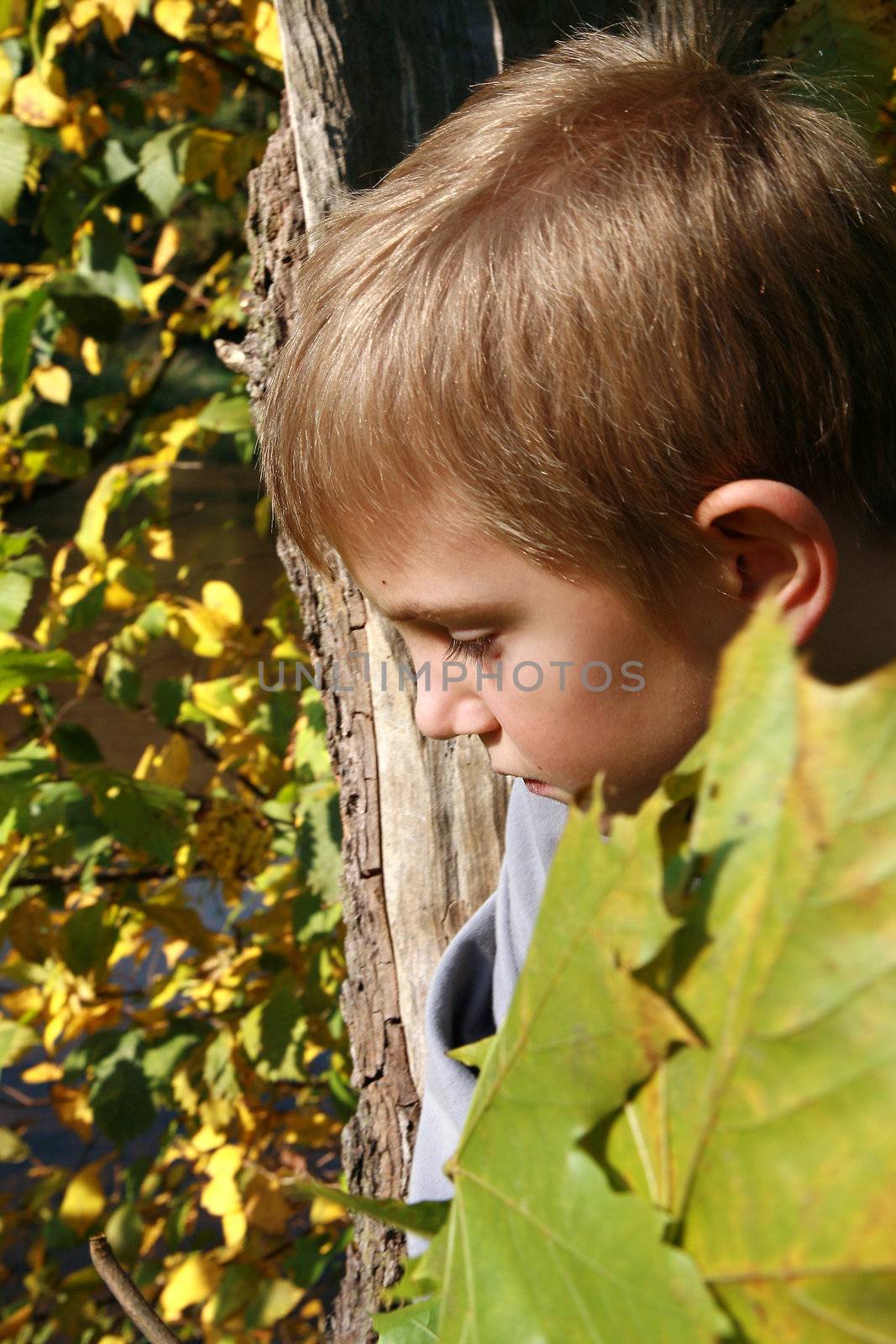Little, blonde boy with leaves. Autumn park.