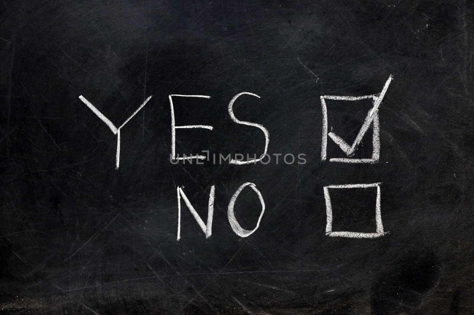 Check yes or no on black chalkboard with copy space.  