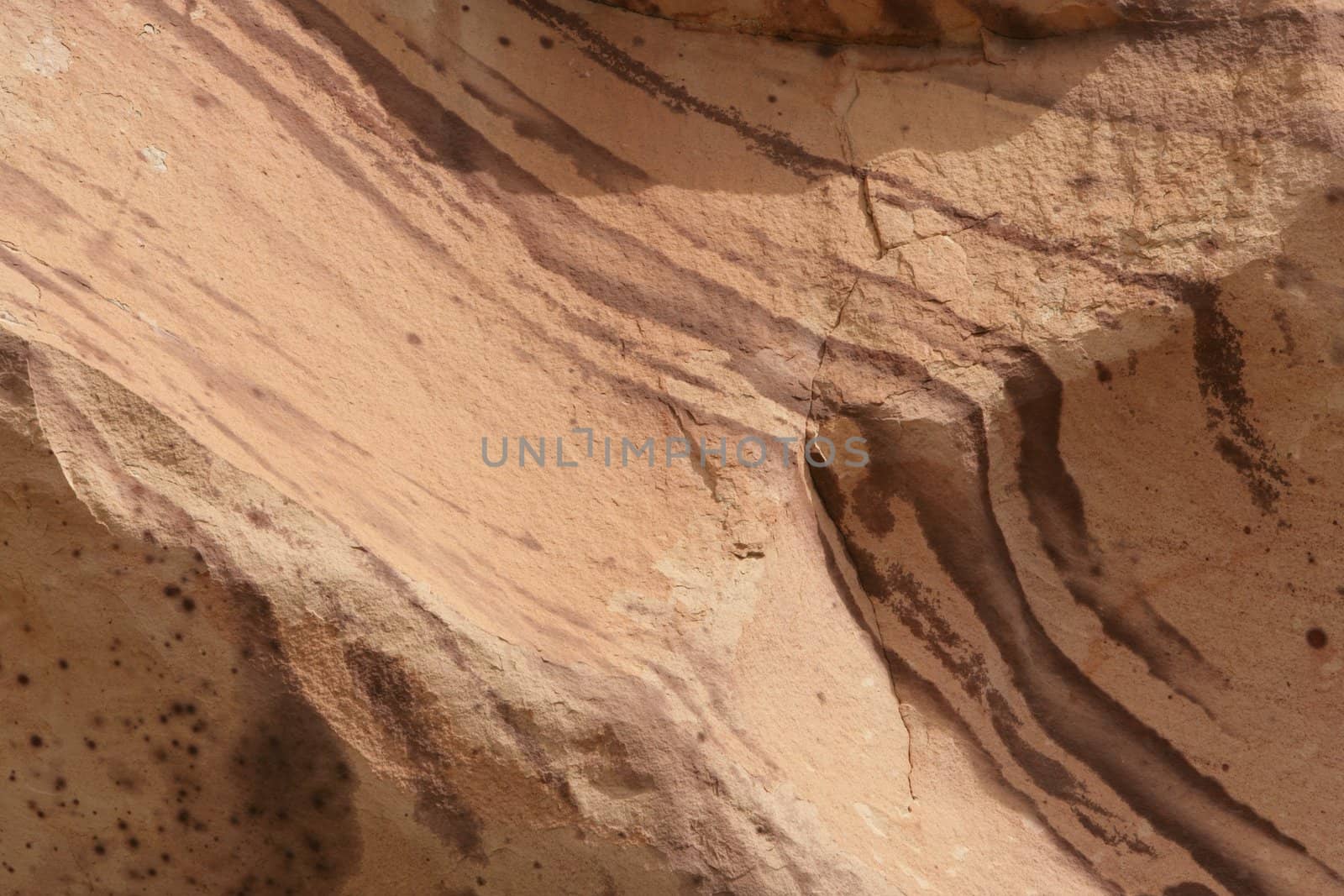 Unique design on rock in Valley of Fire State Park near Las Vegas, Nevada
