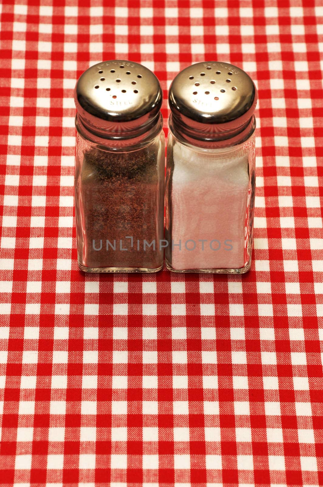 Salt and pepper shakers on red gingham tablecloth.
