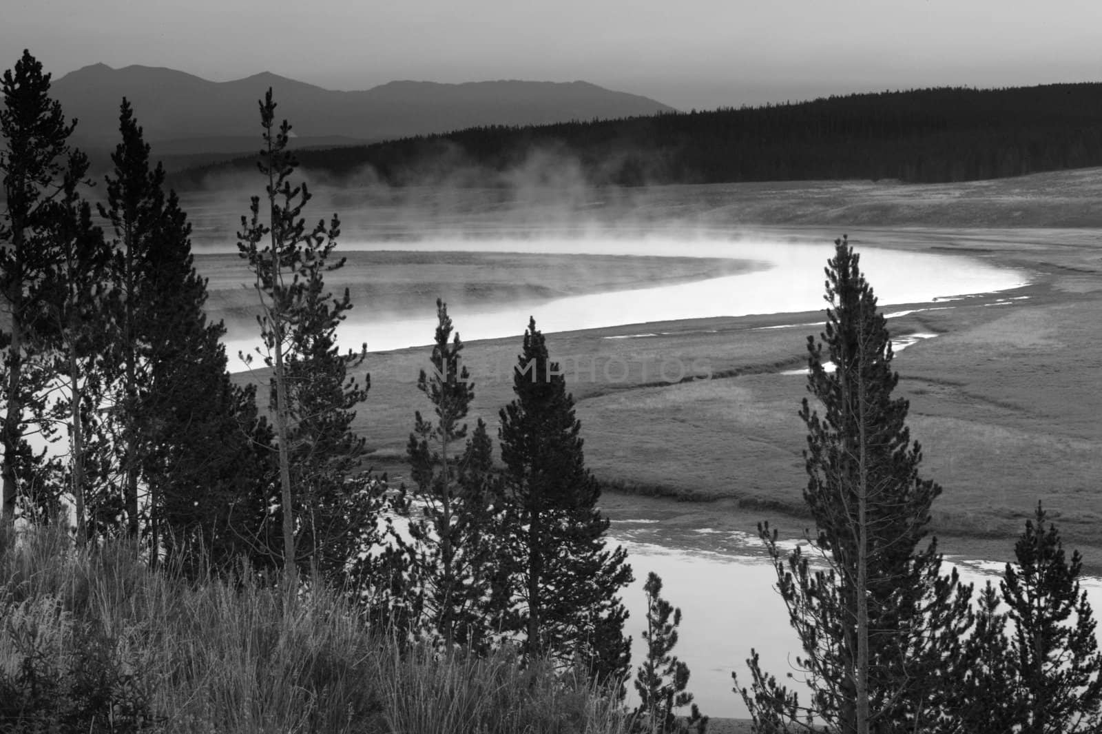 Early morning shot of valley in Yellowstone National Park
