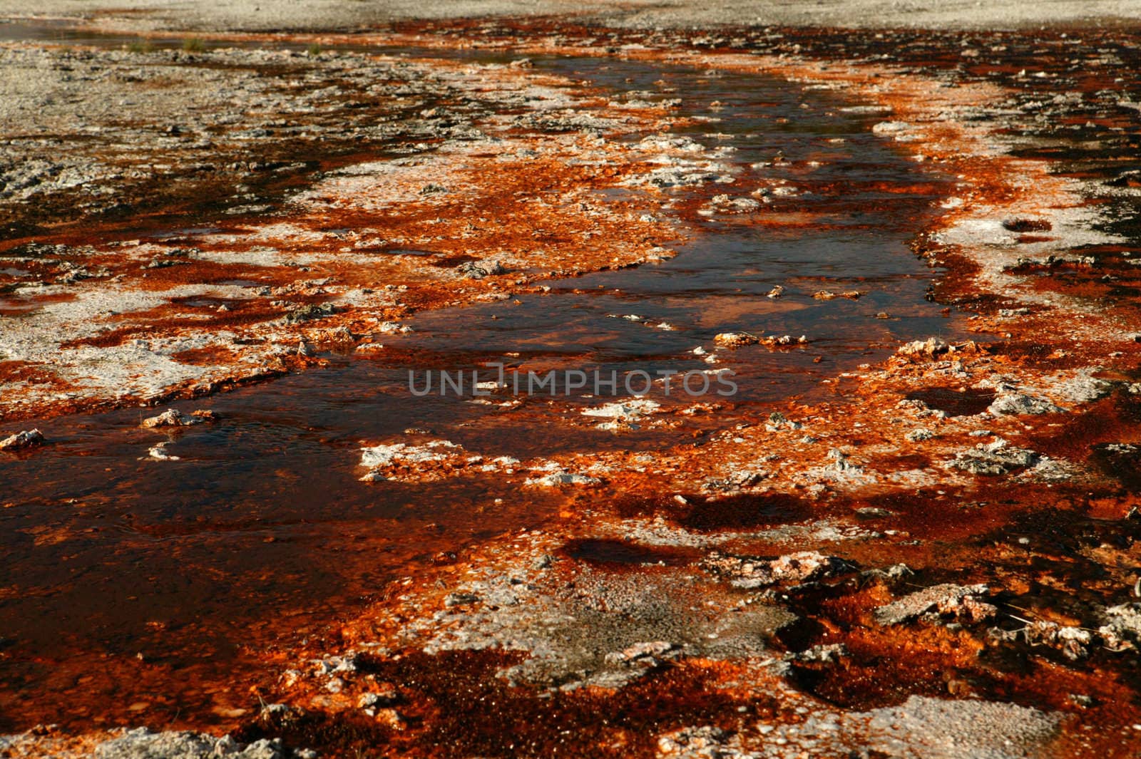 Orange Streak shot taken in Yellowstone National Park