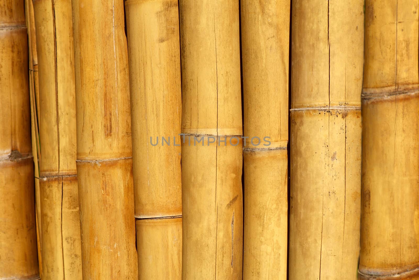 Yellow bamboo screen. A close up