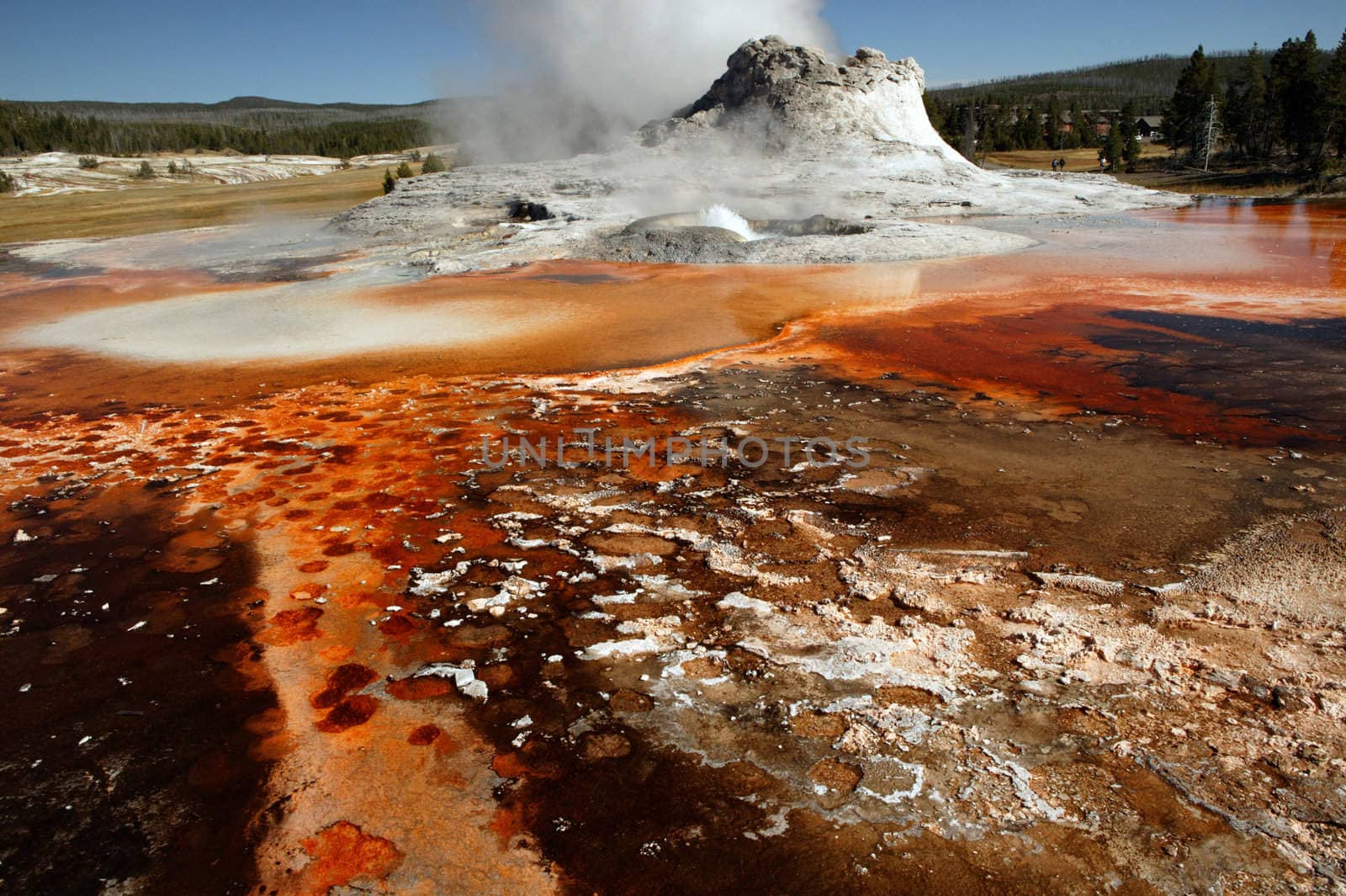 Erupting geyser in Yellowstone National Park